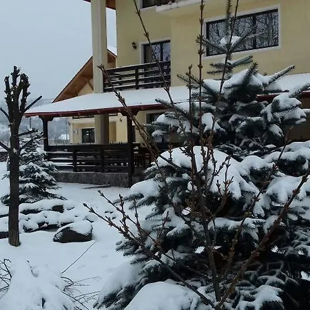Camves Sighetu Marmaţiei